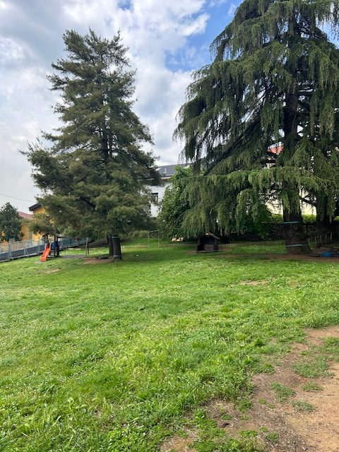 Ingresso Scuola dell'Infanzia Principessa Margherita